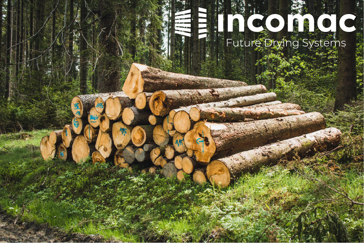Incomac - Resinosi_softwood_Incomac